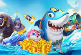 ayx入口2024最新版